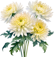 AI generated Watercolor painting of a Chrysanthemum flower. png