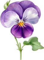 ai gerado aguarela pintura do uma tolet viola sororia flor. png