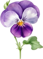 ai generado acuarela pintura de un Violeta viola sororia flor. png