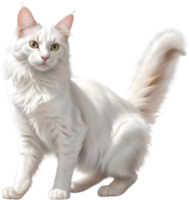 ai généré crayon de couleur esquisser de une turc angora chat. png