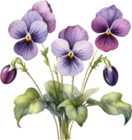 ai generiert Aquarell Gemälde von ein violett Viola Sororie Blume. png