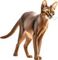 AI generated Colored-pencil sketch of an Abyssinian cat. png