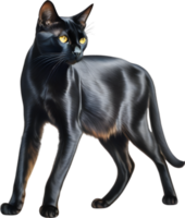 AI generated Colored-pencil sketch of a Bombay cat. png