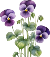 ai generiert Aquarell Gemälde von ein violett Viola Sororie Blume. png