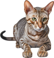 AI generated Colored-pencil sketch of an Ocicat. png