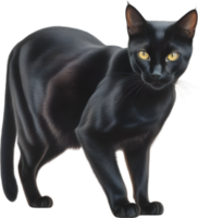 AI generated Colored-pencil sketch of a Bombay cat. png