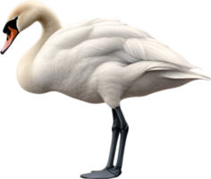 AI generated Mute Swan, Close-up colored-pencil sketch of a Mute Swan, Cygnus olor. png