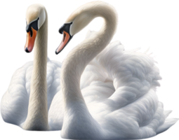 AI generated Mute Swan, Close-up colored-pencil sketch of a Mute Swan, Cygnus olor. png