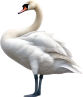 ai gerado mudo cisne, fechar-se lápis de cor esboço do uma mudo cisne, cygnus cor. png