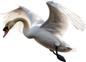 AI generated Mute Swan, Close-up colored-pencil sketch of a Mute Swan, Cygnus olor. png