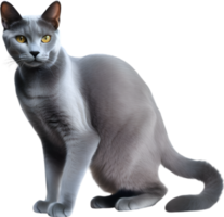 AI generated Colored-pencil sketch of a Russian Blue cat. png