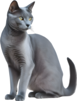 AI generated Colored-pencil sketch of a Russian Blue cat. png