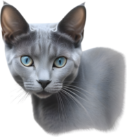 AI generated Colored-pencil sketch of a Russian Blue cat. png