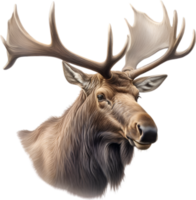 AI generated Moose, Close-up colored-pencil sketch of Moose, Alces alces. png