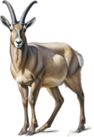 AI generated Chamois, Close-up colored-pencil sketch of Chamois, Rupicapra rupicapra. png