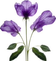 AI generated Violet flower. Close-up glowing translucent violet color flower. png