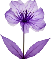 AI generated Violet flower. Close-up glowing translucent violet color flower. png