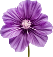 AI generated Violet flower. Close-up glowing translucent violet color flower. png