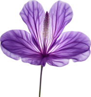 AI generated Violet flower. Close-up glowing translucent violet color flower. png