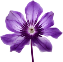 AI generated Violet flower. Close-up glowing translucent violet color flower. png