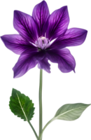 AI generated Violet flower. Close-up glowing translucent violet color flower. png