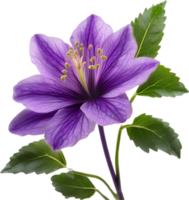 AI generated Violet flower. Close-up glowing translucent violet color flower. png