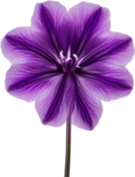 AI generated Violet flower. Close-up glowing translucent violet color flower. png