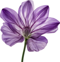 AI generated Violet flower. Close-up glowing translucent violet color flower. png