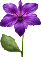 AI generated Violet flower. Close-up glowing translucent violet color flower. png