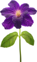 AI generated Violet flower. Close-up glowing translucent violet color flower. png