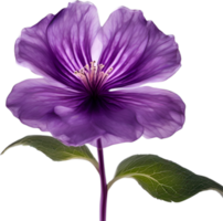 AI generated Violet flower. Close-up glowing translucent violet color flower. png