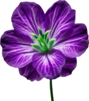 AI generated Violet flower. Close-up glowing translucent violet color flower. png