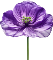 AI generated Violet flower. Close-up glowing translucent violet color flower. png