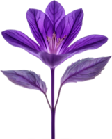 AI generated Violet flower. Close-up glowing translucent violet color flower. png