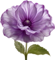 AI generated Violet flower. Close-up glowing translucent violet color flower. png