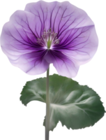 AI generated Violet flower. Close-up glowing translucent violet color flower. png