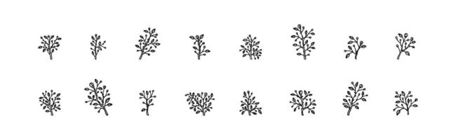 Spring blooming outline branch set. Black and white hand drawn flowering plant minimalist icons. Minimal modern design element for greeting cards, wedding invitations, social media templates vector