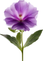 AI generated Violet flower. Close-up glowing translucent violet color flower. png