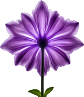 AI generated Violet flower. Close-up glowing translucent violet color flower. png