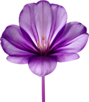 AI generated Violet flower. Close-up glowing translucent violet color flower. png