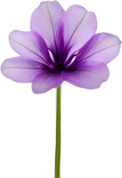 AI generated Violet flower. Close-up glowing translucent violet color flower. png