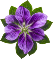 AI generated Violet flower. Close-up glowing translucent violet color flower. png