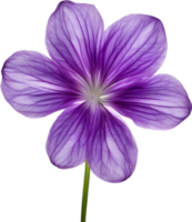 AI generated Violet flower. Close-up glowing translucent violet color flower. png