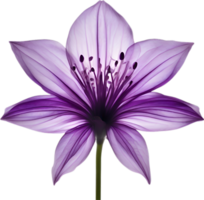 AI generated Violet flower. Close-up glowing translucent violet color flower. png