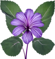 AI generated Violet flower. Close-up glowing translucent violet color flower. png