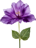 AI generated Violet flower. Close-up glowing translucent violet color flower. png