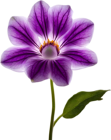 AI generated Violet flower. Close-up glowing translucent violet color flower. png