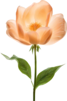 AI generated Peach color flower. Close-up glowing translucent peach color flower. png