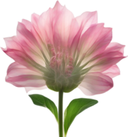 AI generated Pink flower. Close-up glowing translucent pink color flower. png