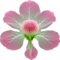 AI generated Pink flower. Close-up glowing translucent pink color flower. png